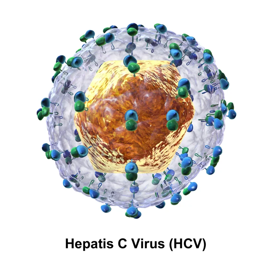 Hepatitis: inflammation of the liver